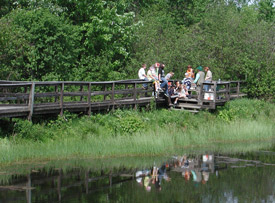 A green grass and trees with a wooden walkway bridge that people are walking and standing on