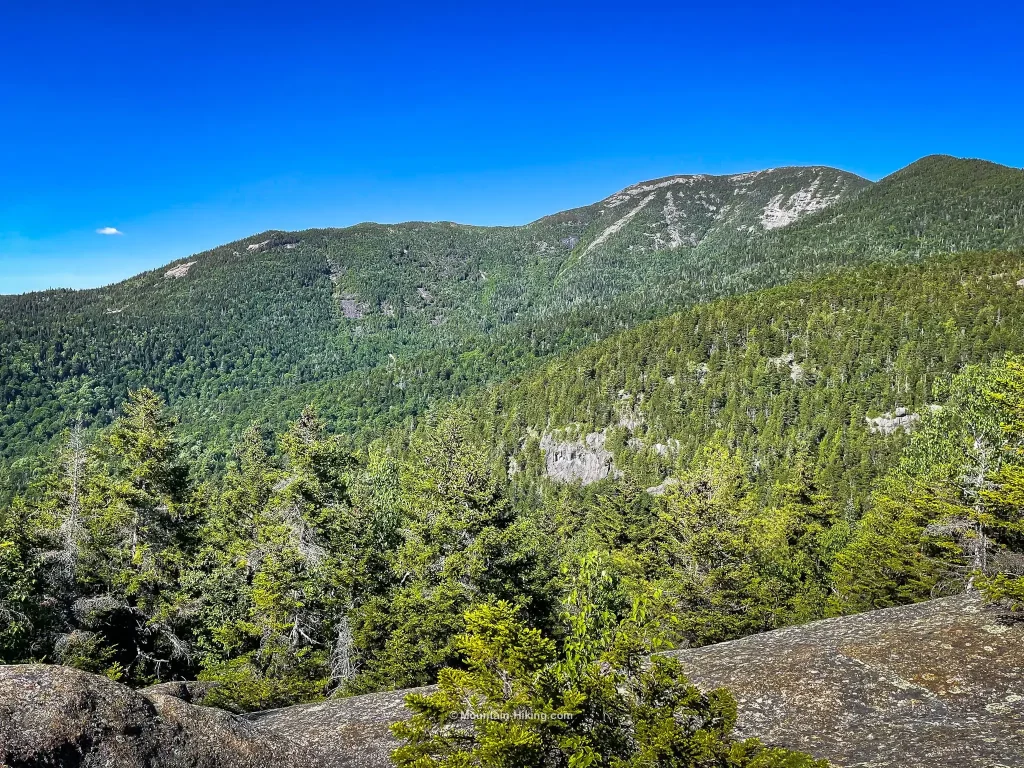 conifer trees litter the view of a mountain from an elevate rock ledge on a cloudless day. 